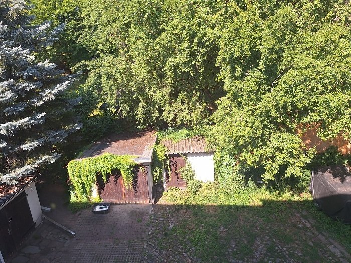lichtdurchflutete 2 Raumwohnung mit Balkon im Dachgeschoss - großer Gemeinschaftsgarten inklusive