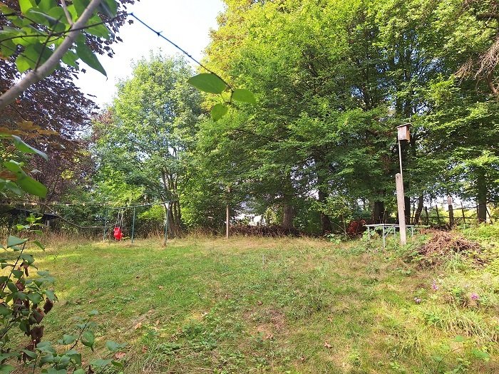 lichtdurchflutete 2 Raumwohnung mit Balkon im Dachgeschoss - großer Gemeinschaftsgarten inklusive