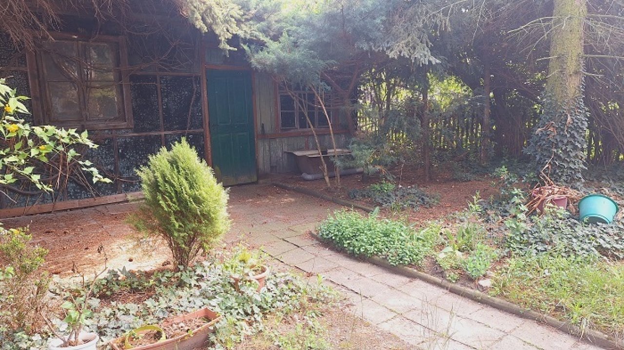 Blick zum hinteren Gartenbereich Blick zum hinteren Gartenbereich