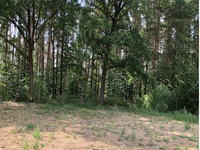 Bauland mit Blick in den Garten / Grenze Wald Bauland mit Blick in den Garten / Grenze Wald