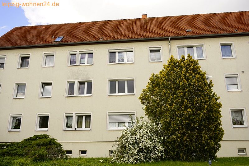 Haus Haus